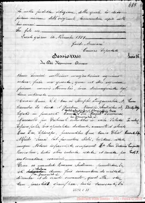 Fotogramma C 11