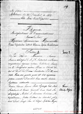Fotogramma D 11