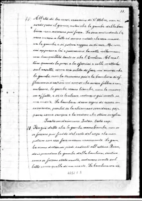 Fotogramma C 5