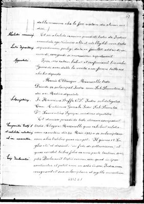 Fotogramma D 1