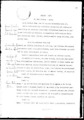 Fotogramma D 11