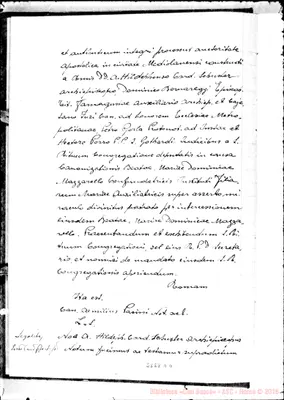 Fotogramma D 4