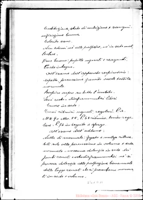 Fotogramma D 10