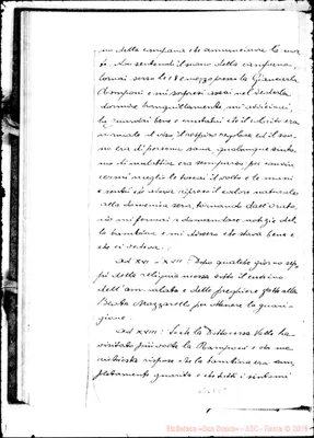 Fotogramma E 8