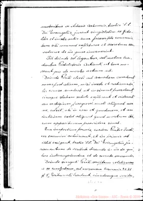 Fotogramma D 6