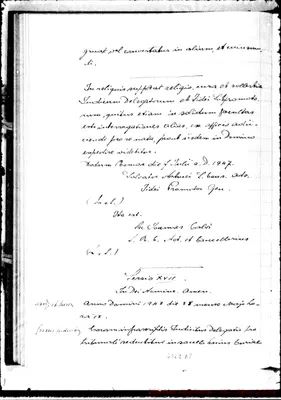 Fotogramma D 8