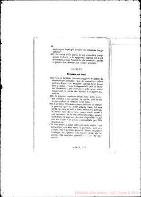 Fotogramma C 8