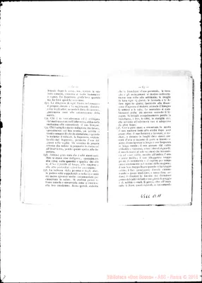 Fotogramma B 11