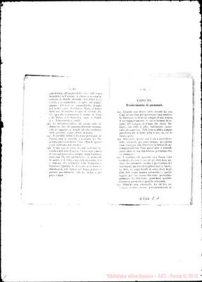 Fotogramma C 1