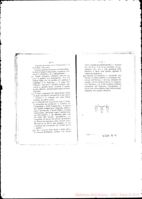 Fotogramma D 4