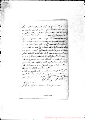 Fotogramma D 11