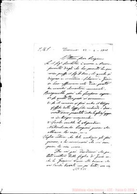 Fotogramma D 11