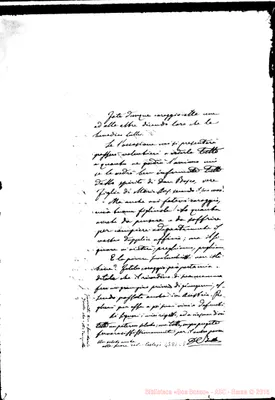 Fotogramma C 5