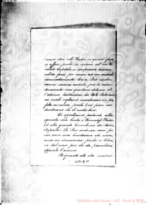 Fotogramma C 11