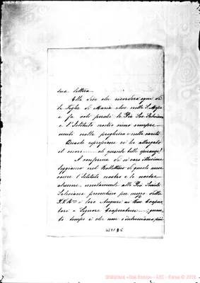 Fotogramma D 5