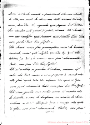 Fotogramma D 8