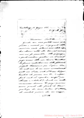 Fotogramma C 11