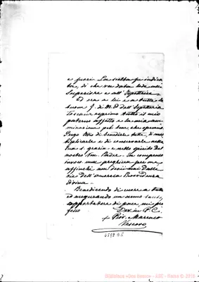 Fotogramma D 5