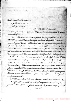 Fotogramma E 11