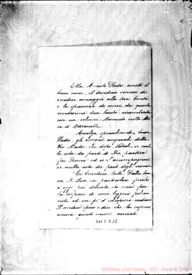 Fotogramma D 12
