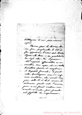 Fotogramma C 7