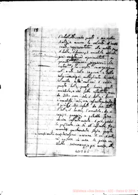 Fotogramma D 5