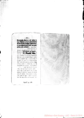 Fotogramma D 12
