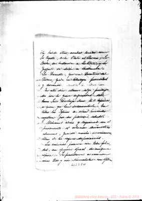 Fotogramma C 11