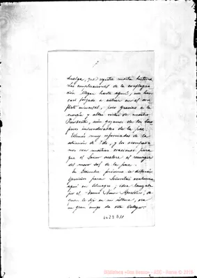 Fotogramma D 11