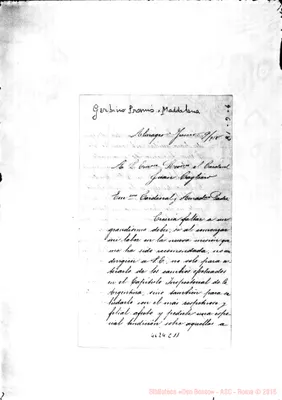 Fotogramma C 11