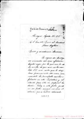Fotogramma D 3