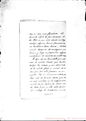 Fotogramma D 5