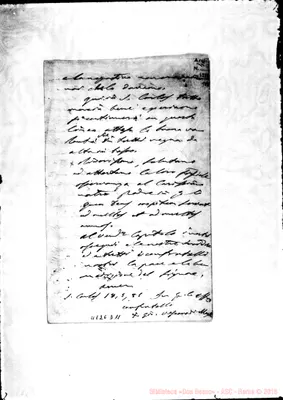 Fotogramma D 11