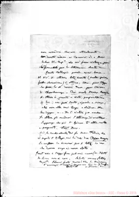 Fotogramma C 11