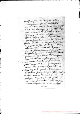 Fotogramma E 5