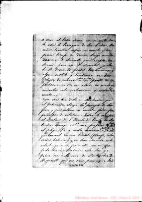 Fotogramma C 11