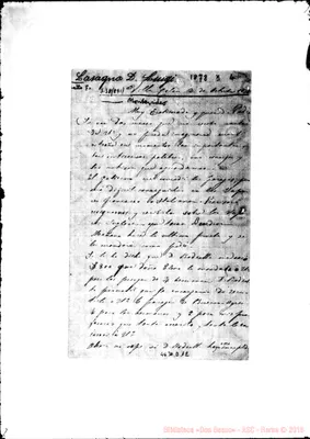 Fotogramma D 12