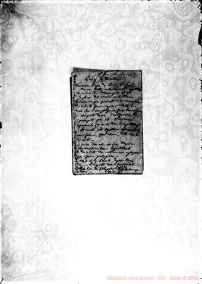 Fotogramma D 8