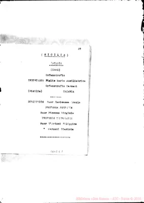 Fotogramma E 2