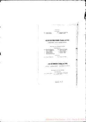 Fotogramma D 2