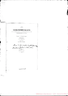 Fotogramma D 11