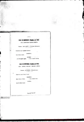 Fotogramma A 11