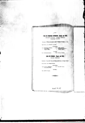 Fotogramma D 12