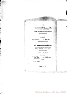 Fotogramma D 12