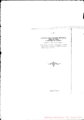 Fotogramma D 11