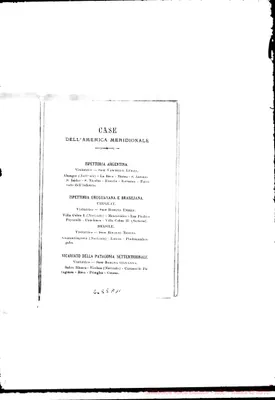 Fotogramma A 11