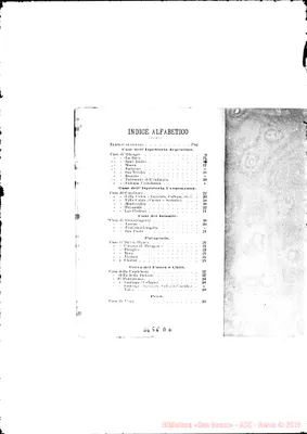 Fotogramma D 6
