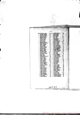Fotogramma B 2
