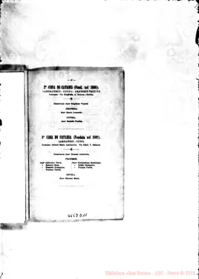 Fotogramma D 11
