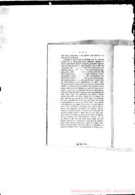 Fotogramma E 6